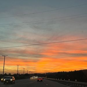 Meet your Posher, Malia